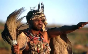 African Shaman. Divination is one of the main tasks of the shaman or witch doctor. Here a Ndebele shaman from southern Africa, wearing an isiba headdress of porcupine quills, divines the setting sun.