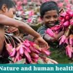 Nature and human health: Physical, Mental, and Social Health: Nature’s Comprehensive Benefits