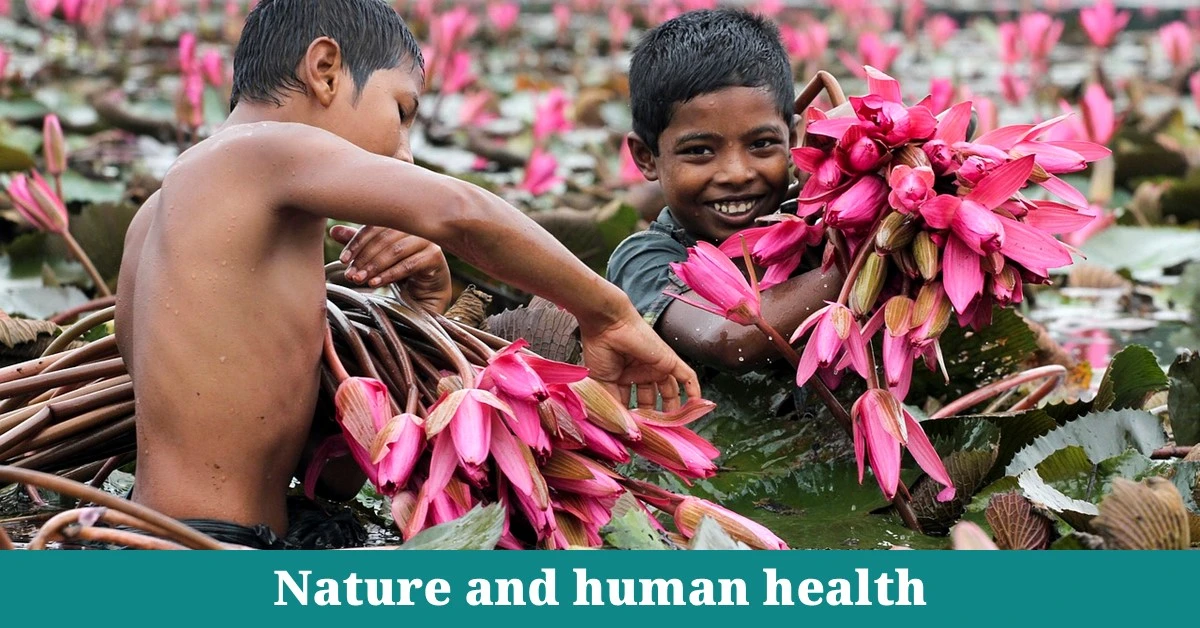 Nature and human health: Physical, Mental, and Social Health: Nature’s Comprehensive Benefits