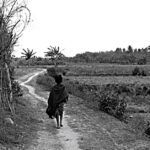 Pather Panchali-The Apu trilogy-1955 film: A Review and Analysis