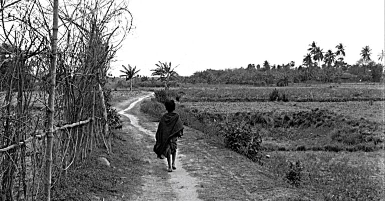 Pather Panchali-The Apu trilogy-1955 film: A Review and Analysis