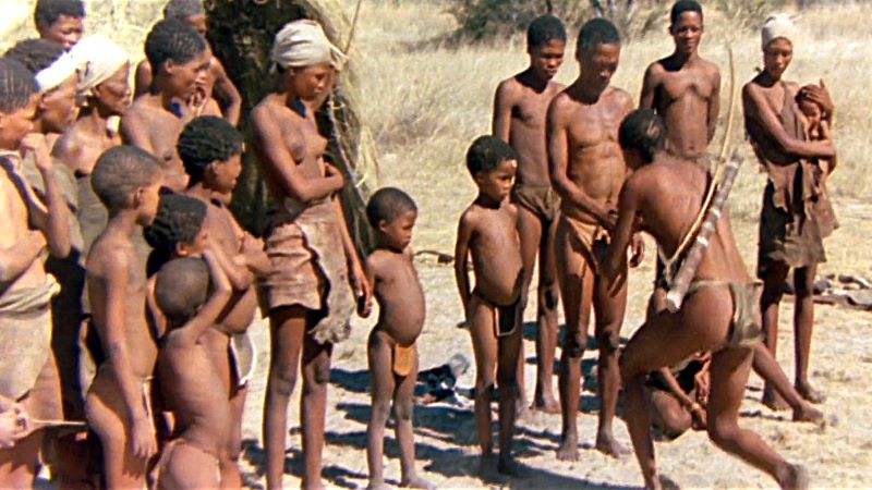 The Bushmen of the Kalahari Desert in The Gods Must be Crazy