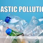 Plastic Pollution and Dangerous Impacts of Microplastics and How 400 Million Tons of Plastic Is Killing Our Planet